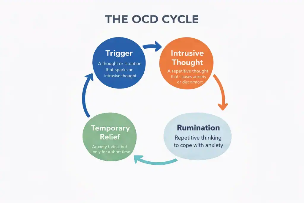 OCD cycle infographic showing trigger, intrusive thought, rumination, and temporary relief in a repeating loop